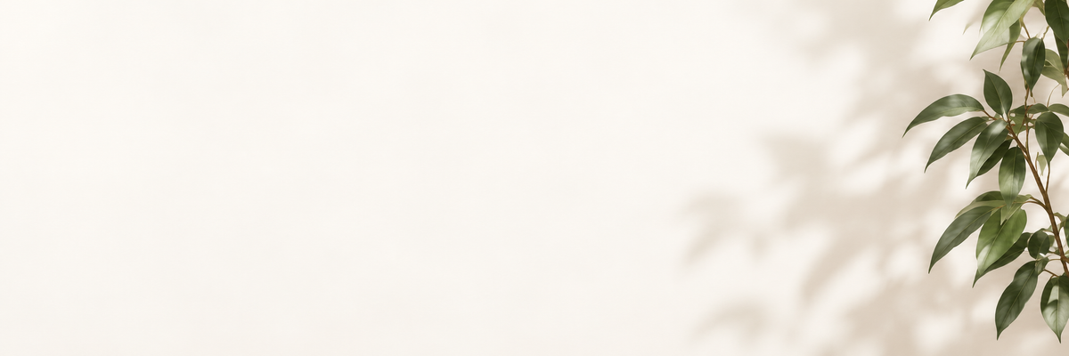 BeFit24 daily reset